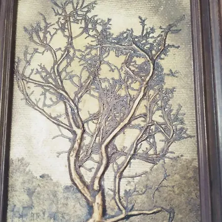Lumina דירה פולה